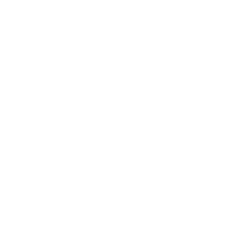 志